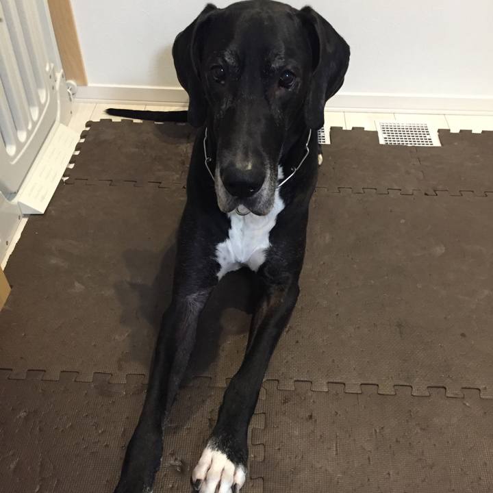 9c4a9918 378a 4f38 beb2 6283347e2395