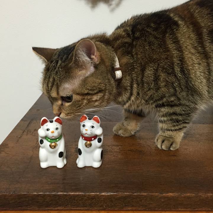 9c4ab142 61d0 4300 b025 3cffec9dd491