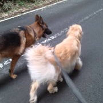 9c4b6617 a9c2 4cd6 8798 2a0977e22ba1