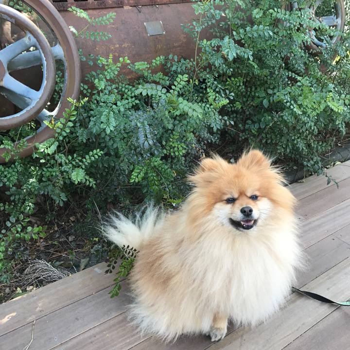 9c4cc9a6 e14b 42dd 8282 5b0ed694e4aa