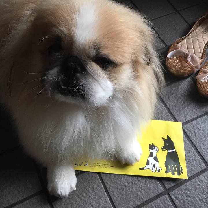 9c4ce0db 7453 4f0e b296 ea192f72ce3d