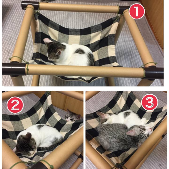 9c4e354d 817e 4a09 aee5 80d3ff9c7052