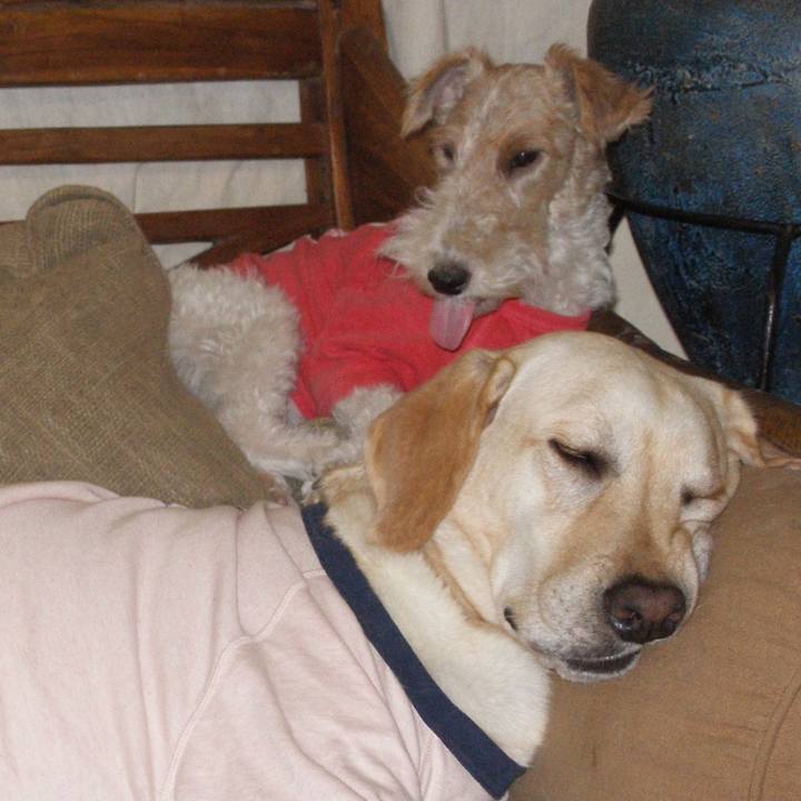 9c4eab4c a8e9 4a2f 8d6f 7a285f4e59ab