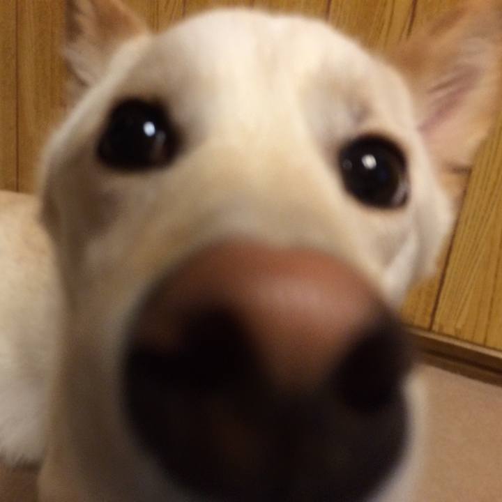 9c4eecfc ed31 4fb1 b301 abe2805ffa84