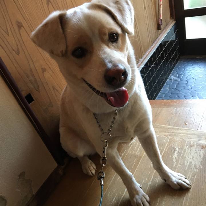 9c4f208a f764 4189 818f cd626ce42c02