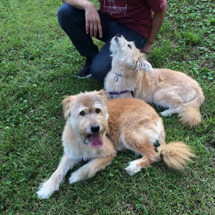 9c4f5284 731b 4ad3 be27 9a1b4d0bc0b7