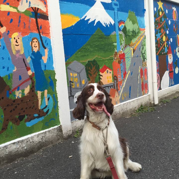 9c5004e0 bedf 4180 b920 f945b88b3848