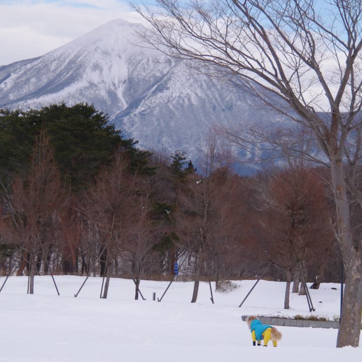 9c501863 452e 42b5 b8ba 05cb31ea16ea