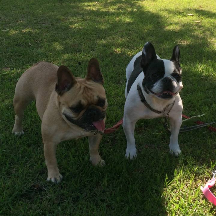 9c504314 fca2 4077 9db5 e32c69995140