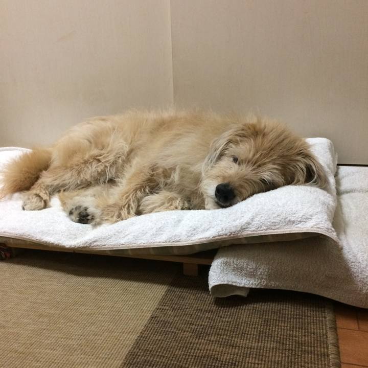 9c50615b 31d3 4771 9d97 89e54e3d62a8