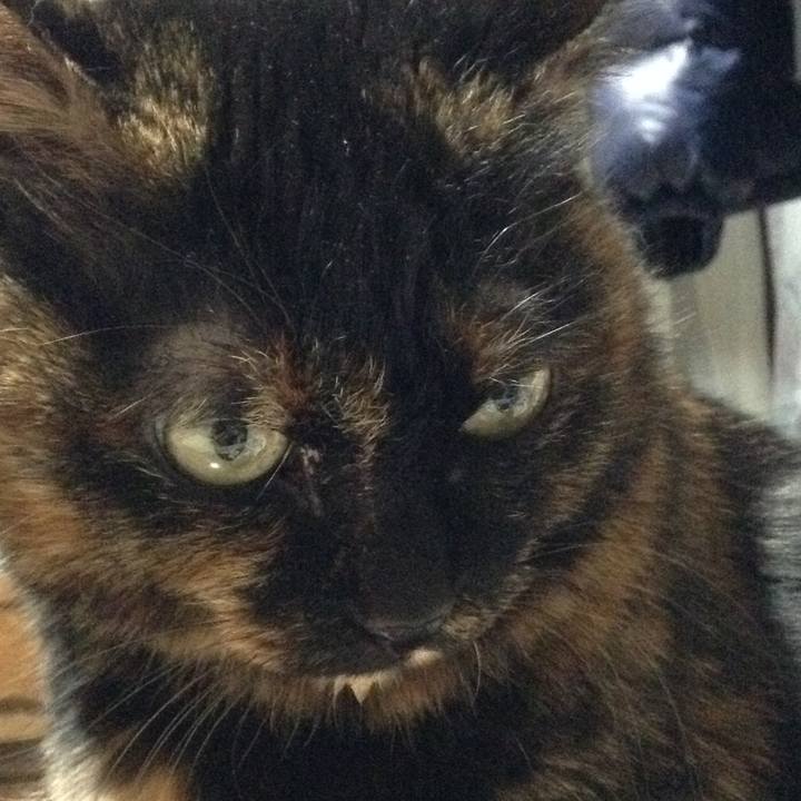 9c5089e5 fb69 4f77 b5c5 971c2b9ca264