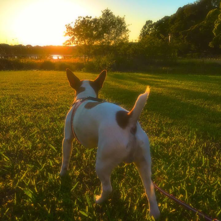 9c50ac02 a85a 430c 873f ae402dbbdd9d