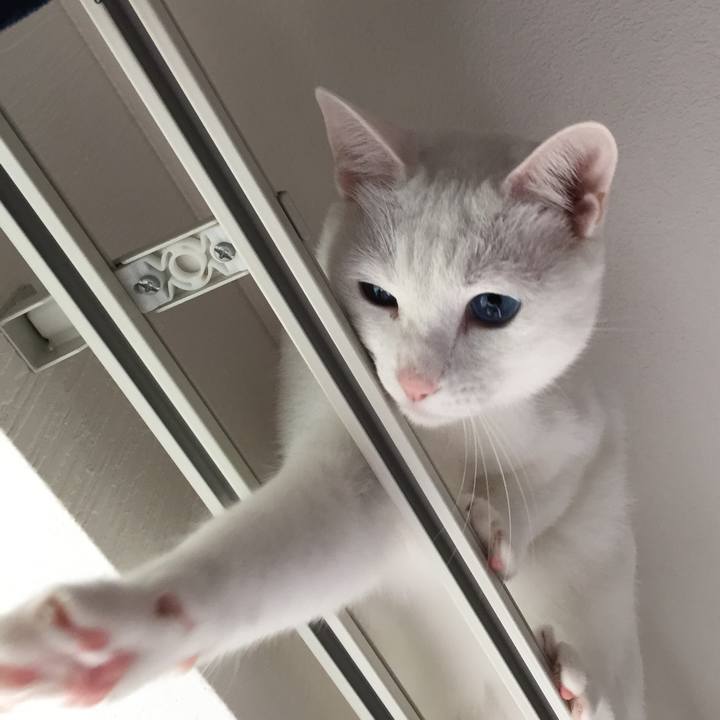 9c50b54b b8ae 4dbd 80a9 40d2c8c06503