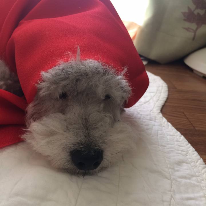 9c5160f9 d18c 4ab0 95ed 08ebe92c0796