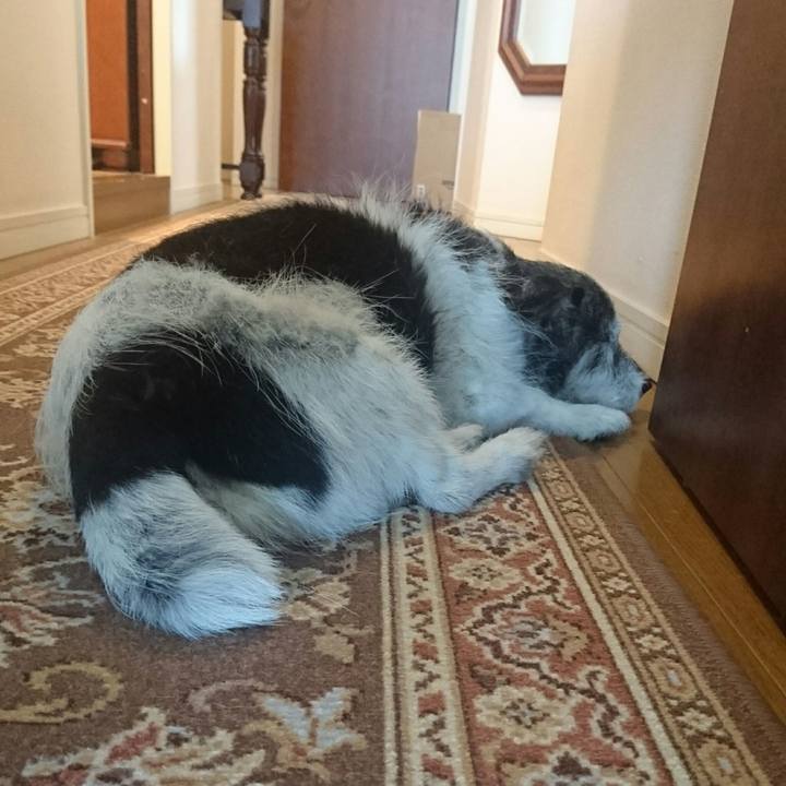 9c51e456 cf3e 47e6 ab07 cdd408647a8f