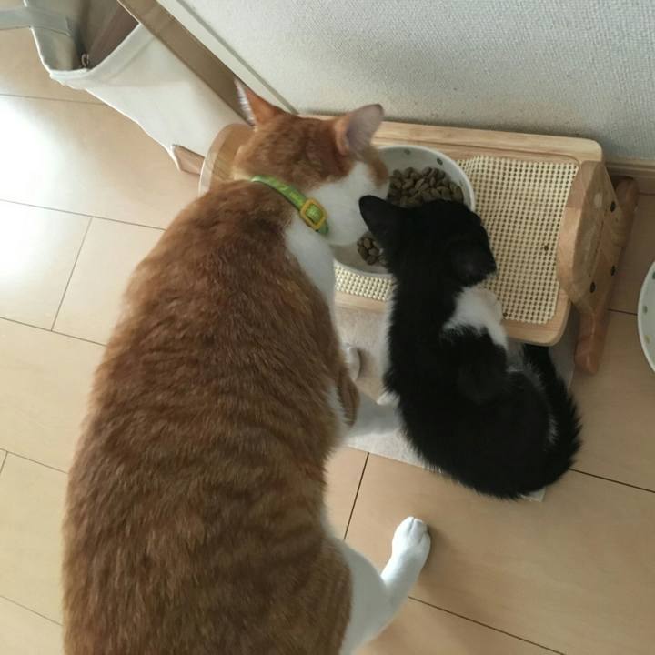 9c51e646 5d55 40de abde 01f87892c9c6