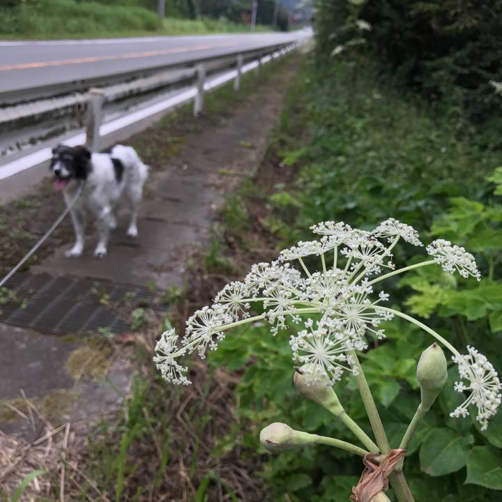 9c51f808 ba8b 4787 b93c 43af38bae033