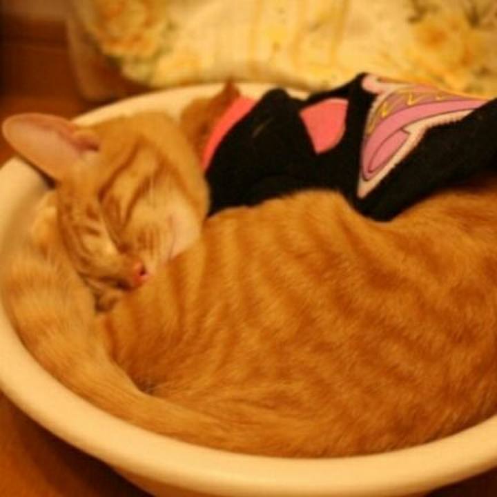 9c527c17 62ac 492b b369 8d430dad643e