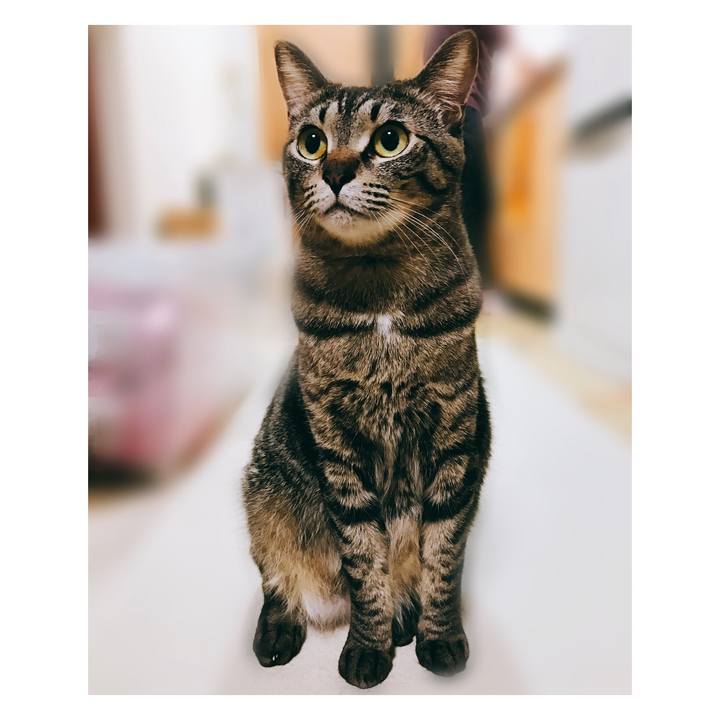 9c52d1ee 8d58 4e84 87af 27bb2fc3bf9c