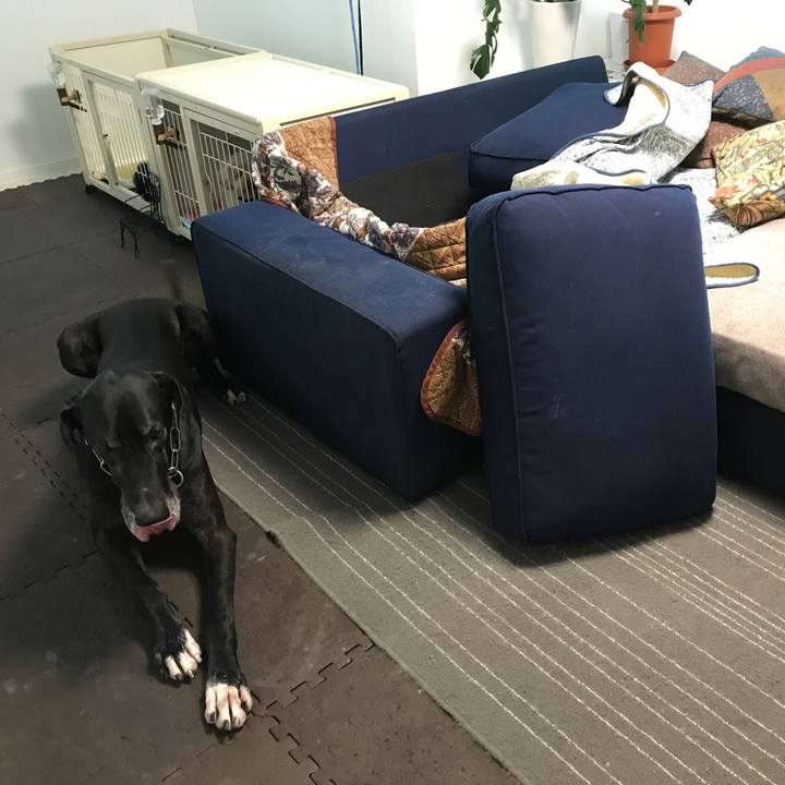 9c52da52 56ca 4ecb 90a7 4d50d1c12717