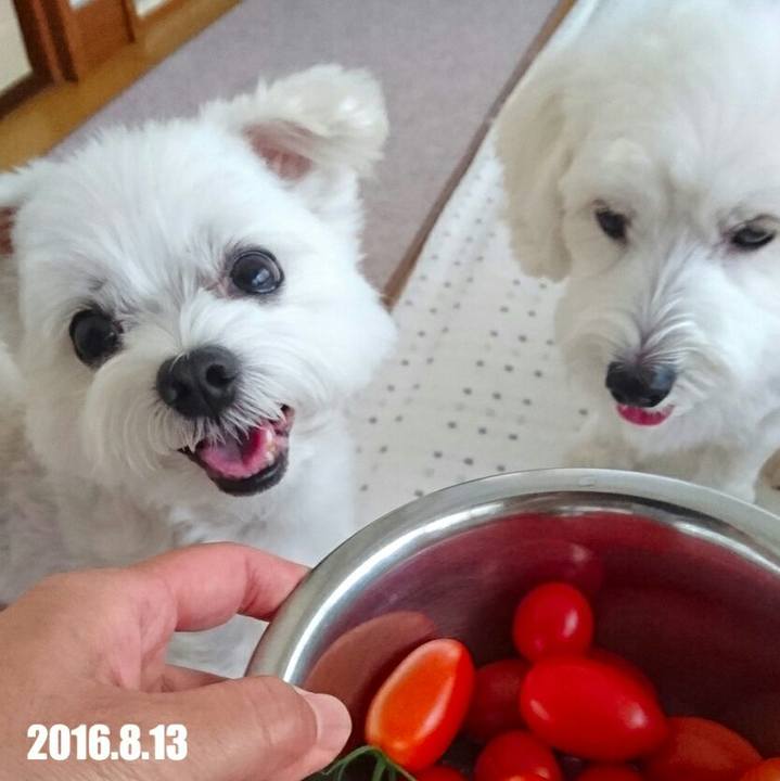 9c531d8b 56a7 45c2 bdfe 2fce70471864