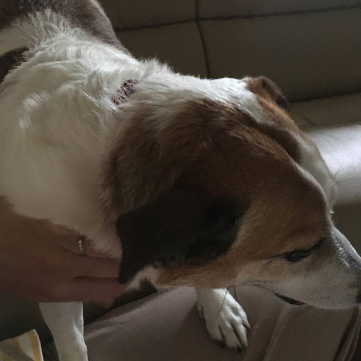 9c5330a0 d9e7 4c64 973b cbbda6b44b34