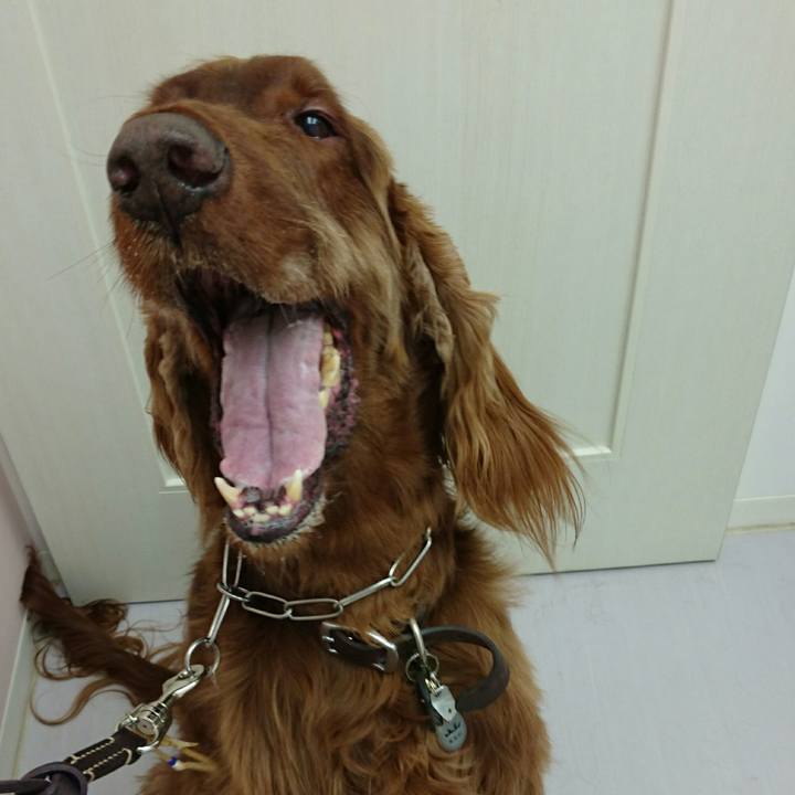 9c535cda c5f1 4314 89c4 8cb3206c72a1