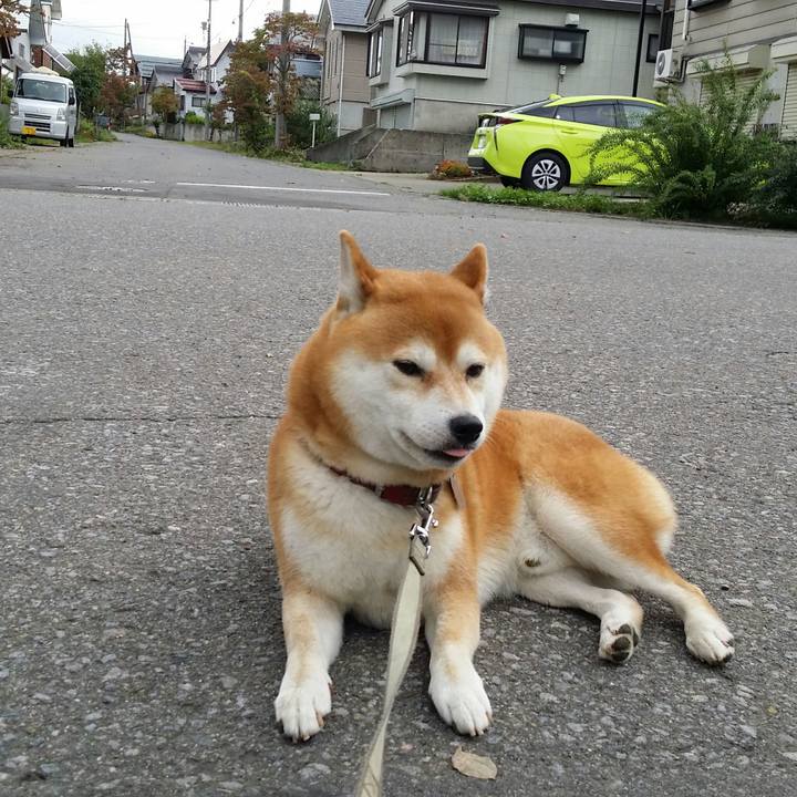 9c5365a4 1af8 489d a102 1d29ebb4b5d9