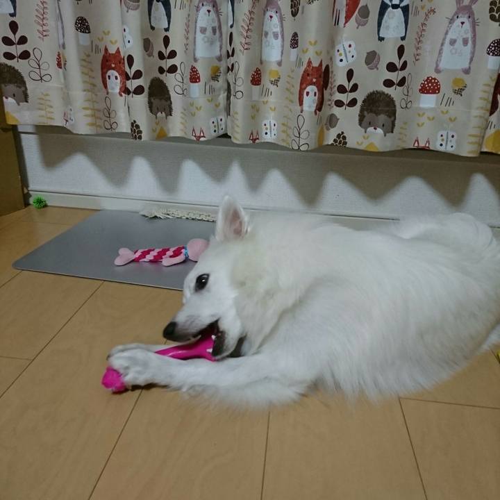 9c536917 2a1c 41de 8142 e4d0e67a18b7