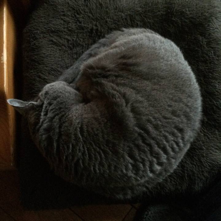 9c5374d6 87d0 49c9 ad6c 940b2e33ea37