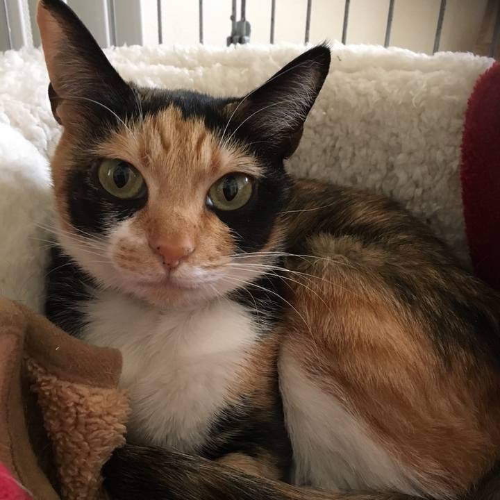 9c53b34a 4ce2 4968 b5e1 4af8d6517627