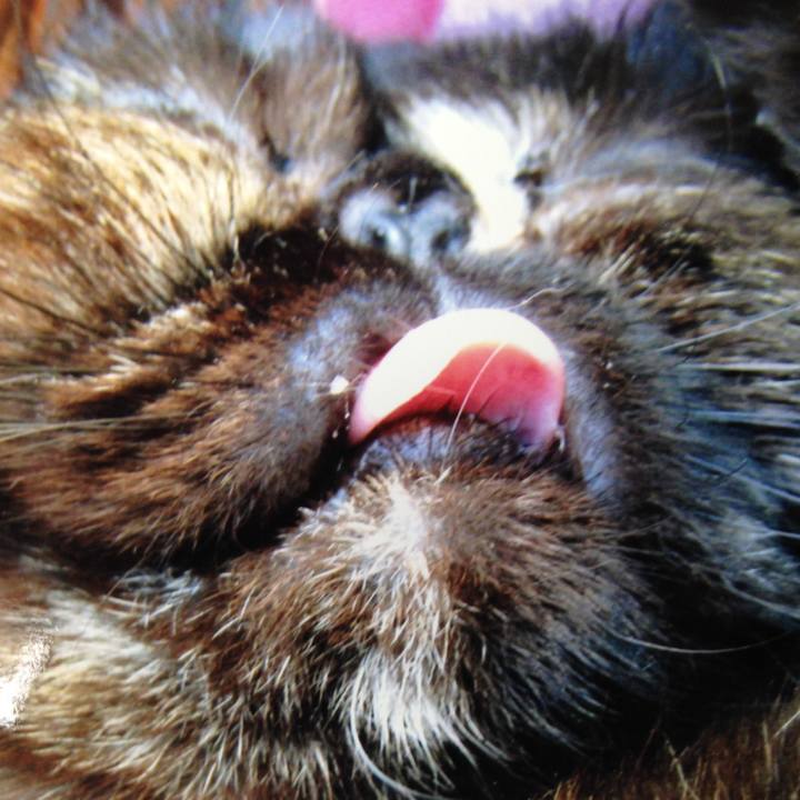 9c54083b 2d3c 4842 8457 d0f18266d05b