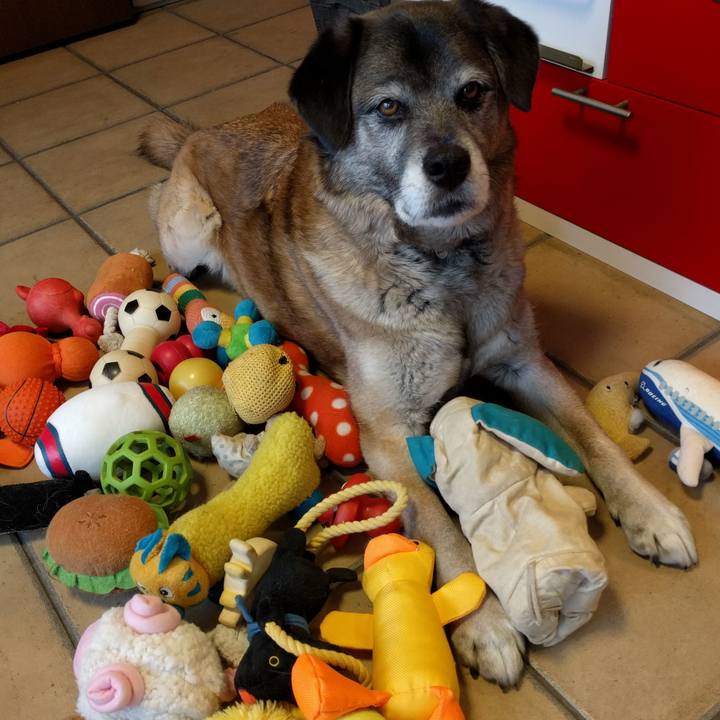 9c5459bd 7426 4bc7 a71b f759dd8a2bba