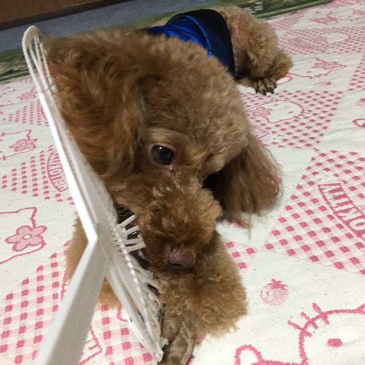 9c54e2cd 3bd2 4e27 9352 284d507a9baa