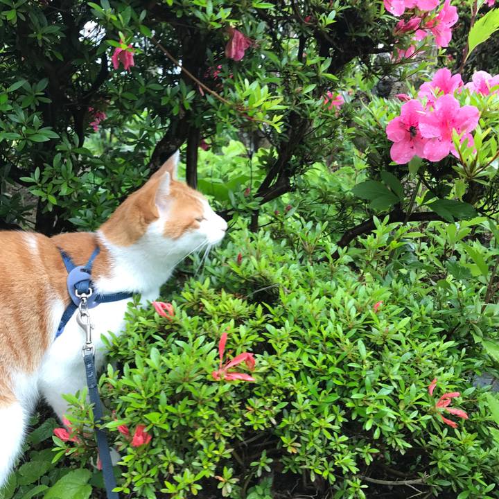 9c553d74 0175 4936 94ac 98afe0b57935