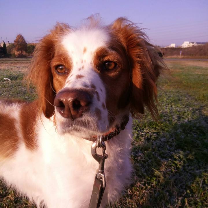 9c5627c2 55ac 4e4c 8a2e f813c3072f4c