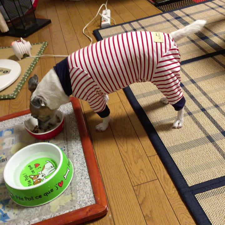 9c566d8b 6b06 4300 a2d2 f5c4648d0913