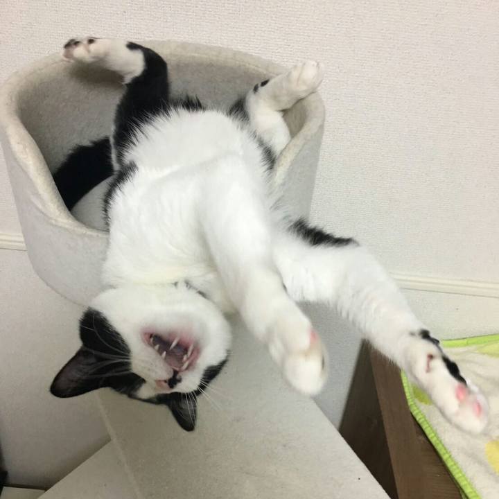 9c567323 0595 430c 8467 a67be4924701