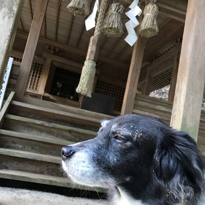 9c570c80 8418 485e 8522 e6b0d023c30d