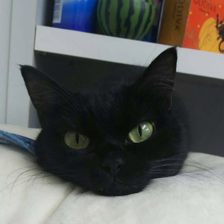 9c571f9d adc4 4e9c b03c 5fbd1b69ce6a