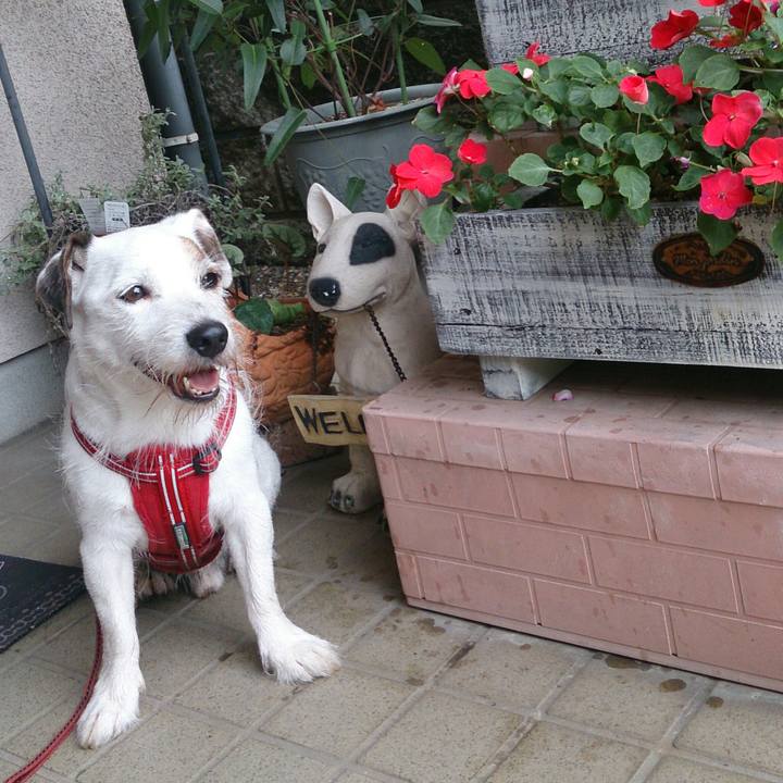 9c5733be 223a 4191 a6d5 7f7883960036