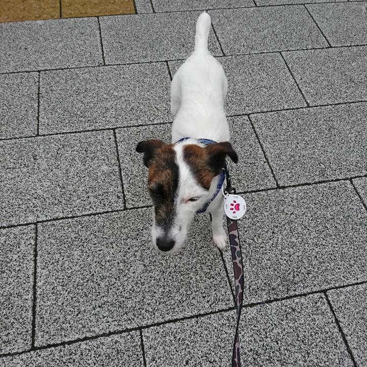 9c5788d3 2014 442e bee2 55b8e1fd4be3