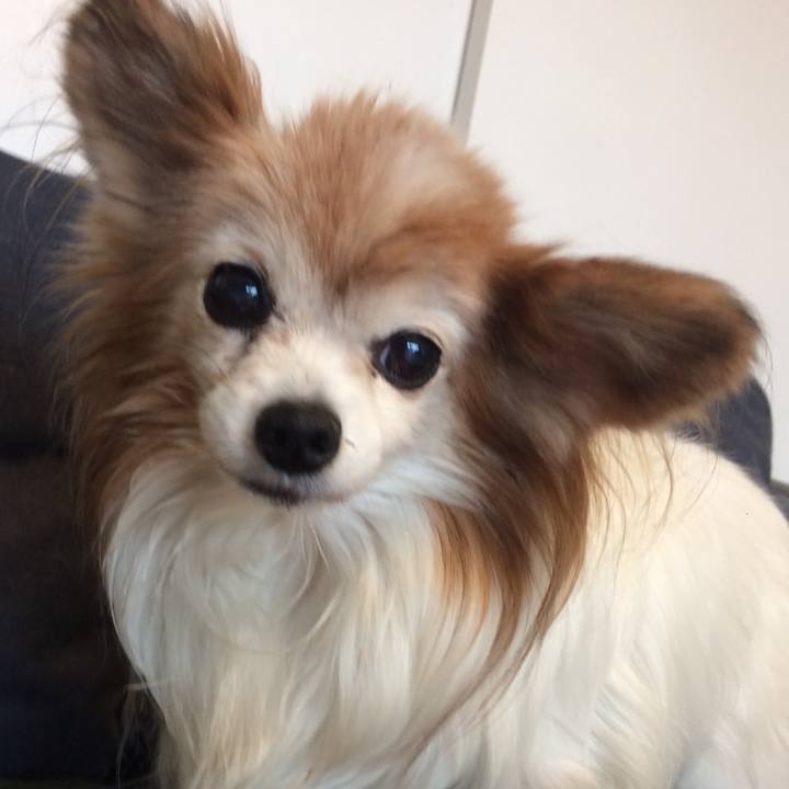 9c584d45 5dba 4d48 9d62 d0b9e02f774c