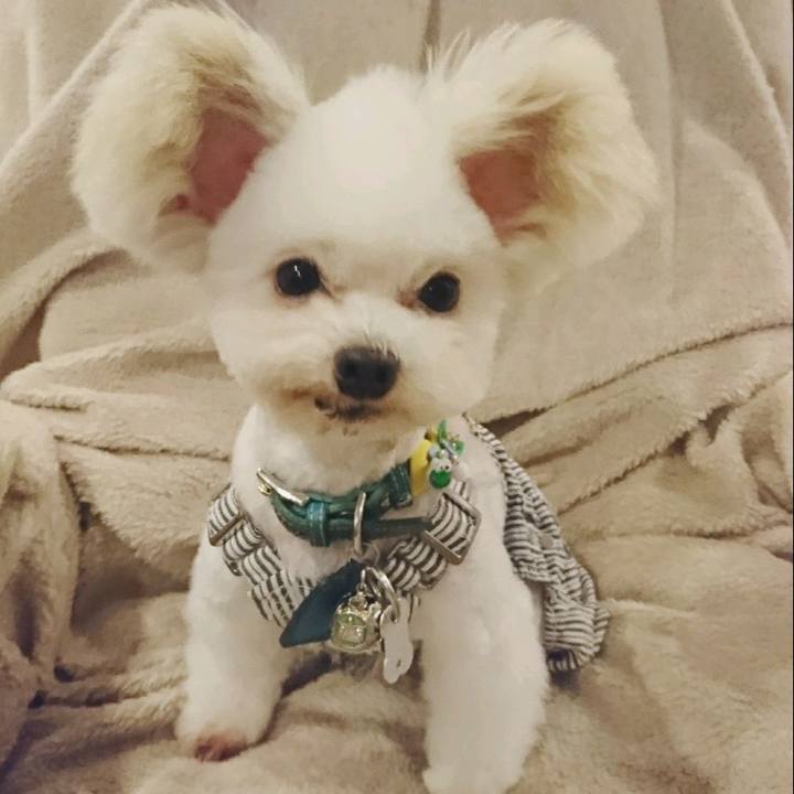 9c58c315 c1b2 4632 85f5 5577bcaccc93