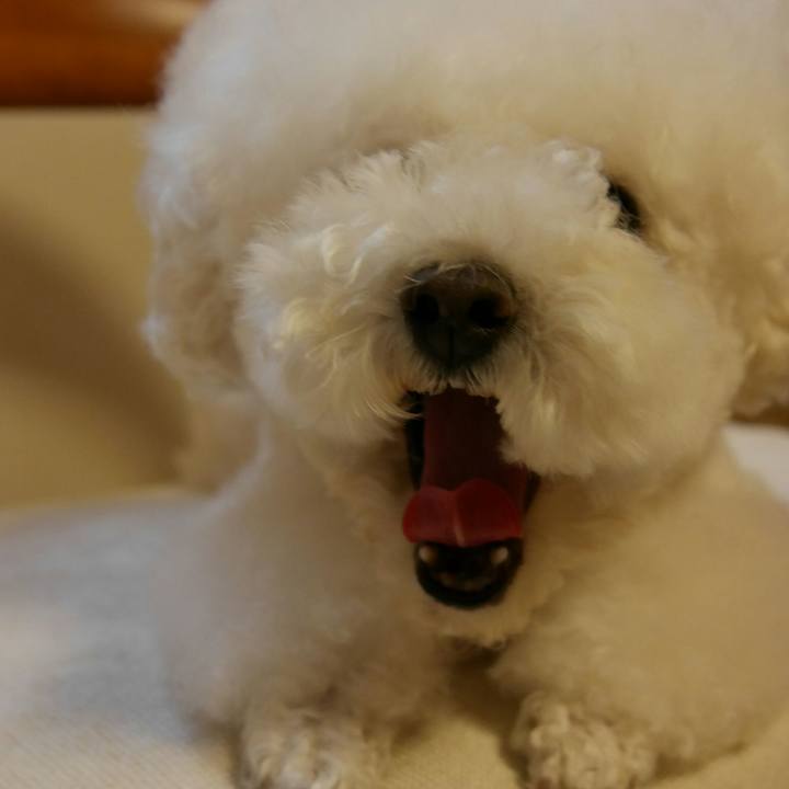 9c595282 9c7c 4a66 a361 4a7deb14d7f7