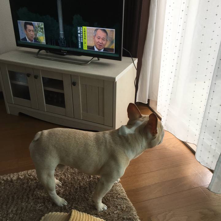 9c59a63d 8fa6 479a a3ae 2959f0b82a5f