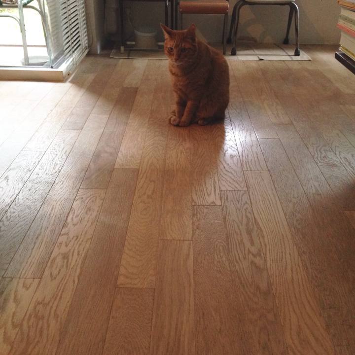 9c5a35f6 c748 499c 9ca2 0af1e3f9eb26