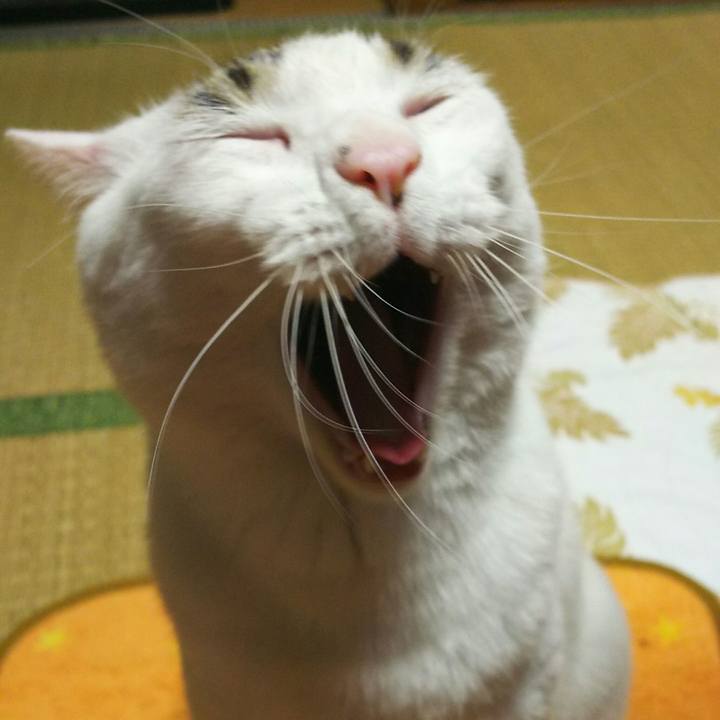 9c5a3af1 c929 4b27 bb7b 2b0214e36153