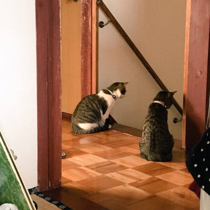 9c5afa32 19f6 4a7f b248 9f7690d7adfe