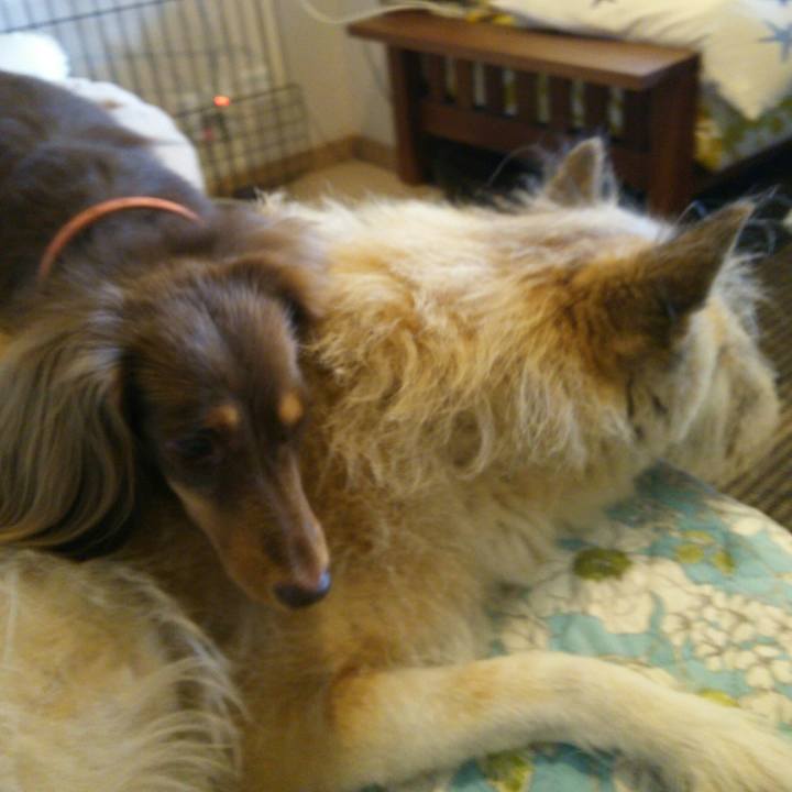 9c5bd448 3d9f 45e2 bb63 963a4ca0ec0d